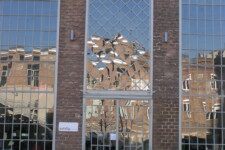 MINOLTA DIGITAL CAMERA